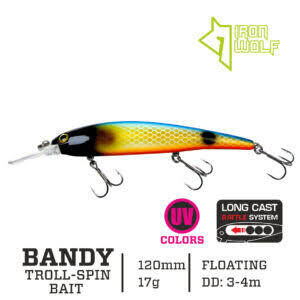 Bandy 12cm 