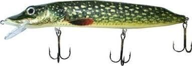 Pike Max 25cm