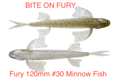 Fury 120mm 