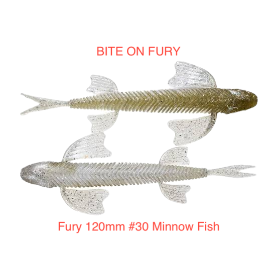 Fury 120mm 