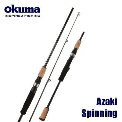 AZAKI 2,28m 8-25gr