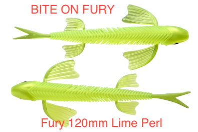 Fury 120mm