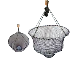 Vēžu krītiņš 40cm 