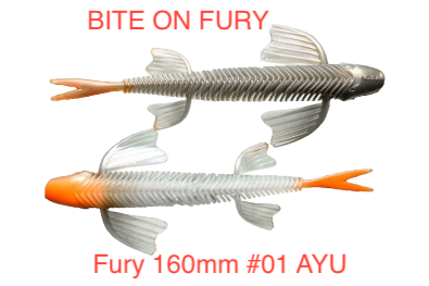 Fury 160mm