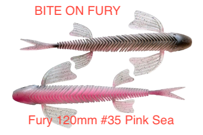 Fury 120mm 