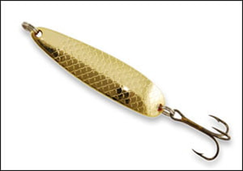 Solvkroken Buch Salmon GO