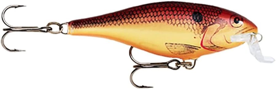  Shallow Shad Rap SSR09-CW